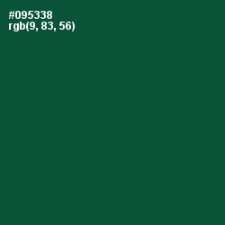 #095338 - Sherwood Green Color Image