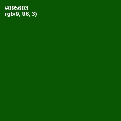 #095603 - Dark Fern Color Image