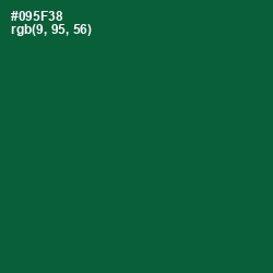 #095F38 - Sherwood Green Color Image