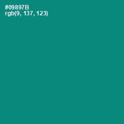 #09897B - Elf Green Color Image