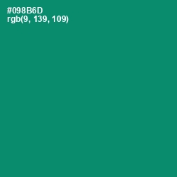 #098B6D - Observatory Color Image