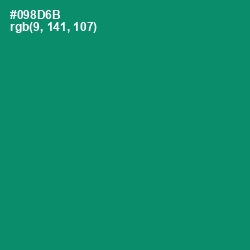 #098D6B - Observatory Color Image