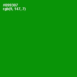 #099307 - Forest Green Color Image