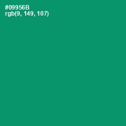 #09956B - Observatory Color Image