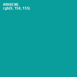 #099E9B - Blue Chill Color Image