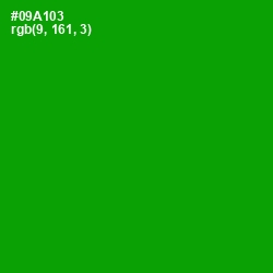 #09A103 - Forest Green Color Image