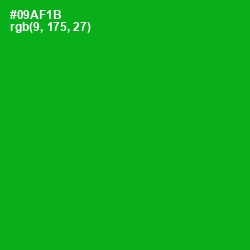 #09AF1B - Forest Green Color Image