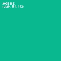 #09B88E - Mountain Meadow Color Image