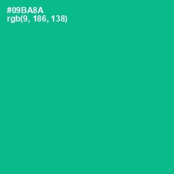 #09BA8A - Mountain Meadow Color Image