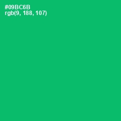 #09BC6B - Jade Color Image