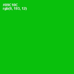 #09C10C - Green Color Image