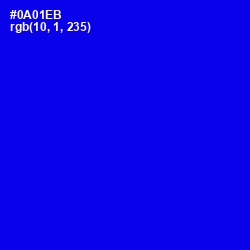 #0A01EB - Blue Color Image