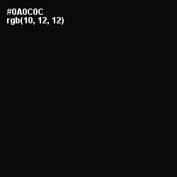 #0A0C0C - Cod Gray Color Image
