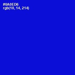 #0A0ED6 - Dark Blue Color Image