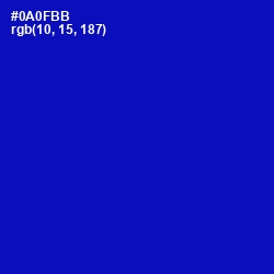 #0A0FBB - International Klein Blue Color Image