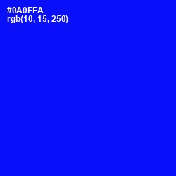 #0A0FFA - Blue Color Image