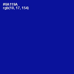 #0A119A - Ultramarine Color Image