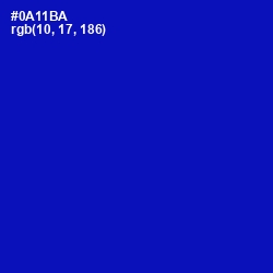 #0A11BA - International Klein Blue Color Image