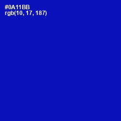 #0A11BB - International Klein Blue Color Image