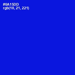 #0A15DD - Dark Blue Color Image