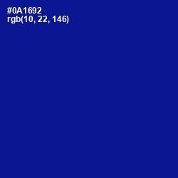 #0A1692 - Ultramarine Color Image