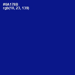 #0A178B - Ultramarine Color Image