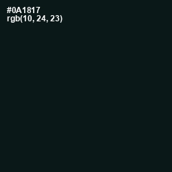 #0A1817 - Racing Green Color Image