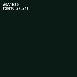 #0A1B15 - Racing Green Color Image