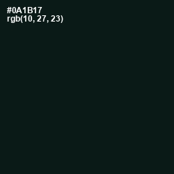 #0A1B17 - Racing Green Color Image