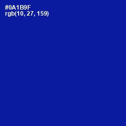 #0A1B9F - Ultramarine Color Image