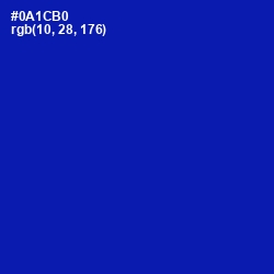 #0A1CB0 - International Klein Blue Color Image