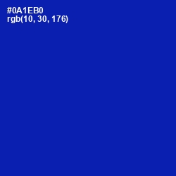 #0A1EB0 - International Klein Blue Color Image