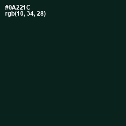 #0A221C - Bush Color Image
