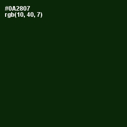 #0A2807 - Palm Green Color Image