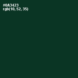 #0A3423 - Bottle Green Color Image