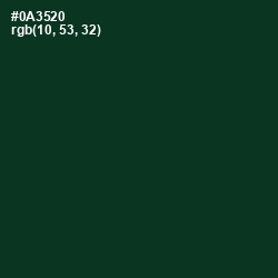 #0A3520 - Bottle Green Color Image