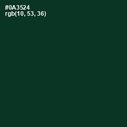 #0A3524 - Bottle Green Color Image