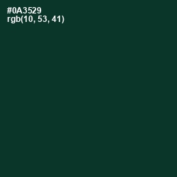 #0A3529 - Bottle Green Color Image