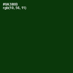 #0A380B - Palm Leaf Color Image