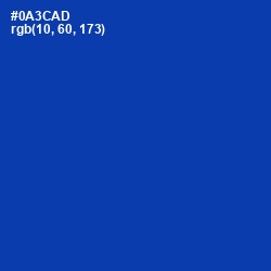 #0A3CAD - International Klein Blue Color Image