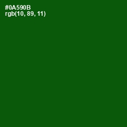 #0A590B - Dark Fern Color Image