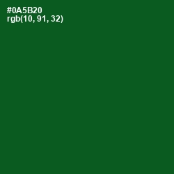 #0A5B20 - Kaitoke Green Color Image