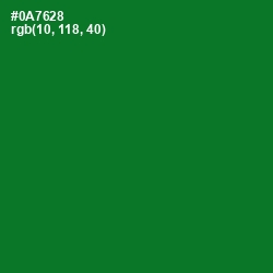 #0A7628 - Fun Green Color Image