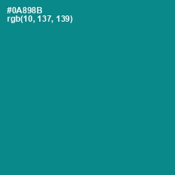 #0A898B - Teal Color Image