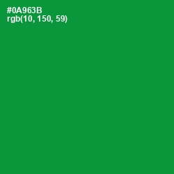 #0A963B - Forest Green Color Image