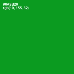 #0A9B20 - Forest Green Color Image