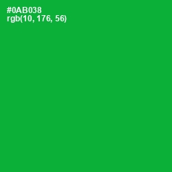 #0AB038 - Forest Green Color Image