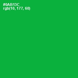 #0AB13C - Forest Green Color Image