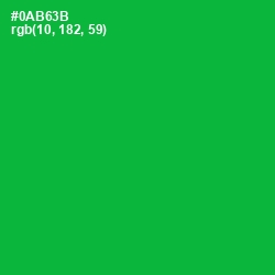 #0AB63B - Forest Green Color Image