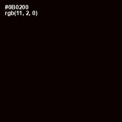 #0B0200 - Black Color Image